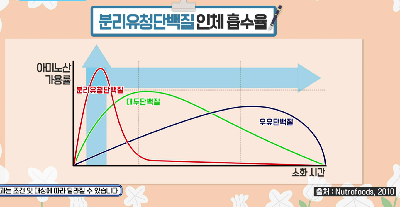 분리유청단백질 효능