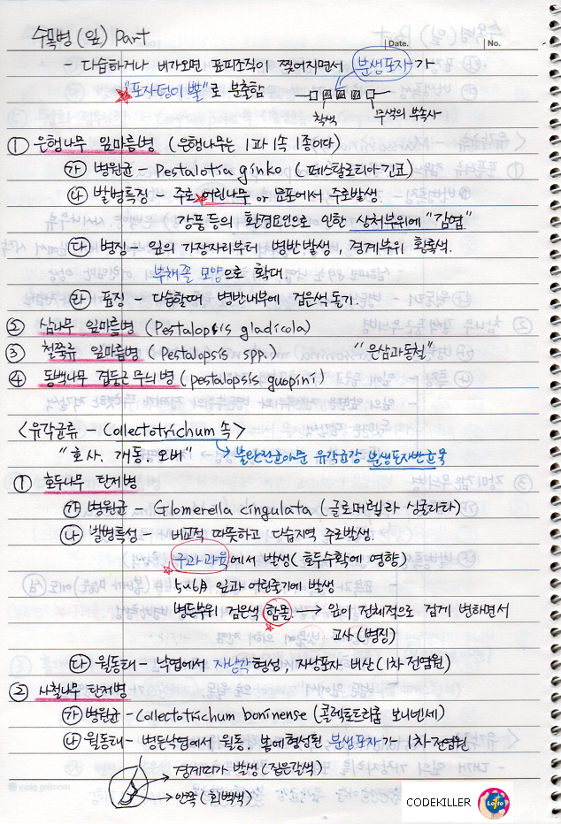 은행나무 잎마름병, 삼나무 잎마름병, 철쭉류 잎마름병, 동백나무 겹둥근무늬병