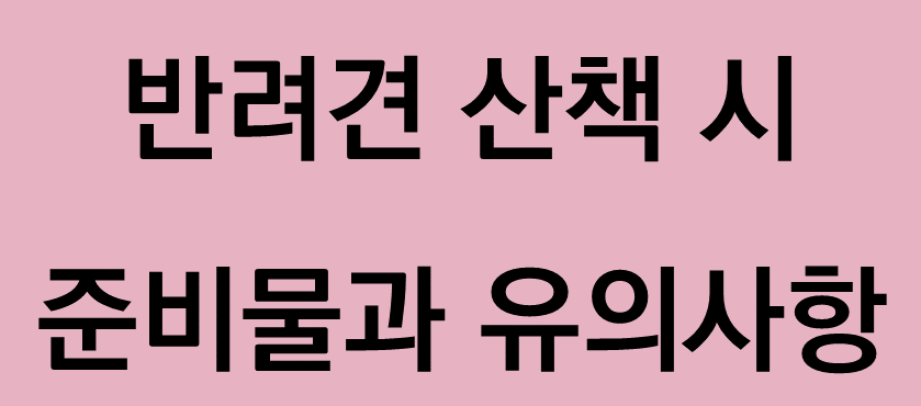 반려견 산책시 준비물과 유의사항