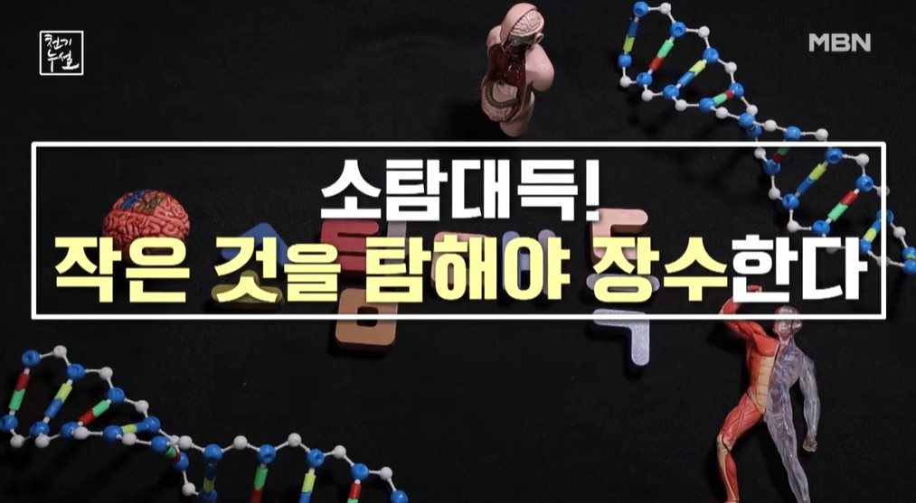 천기누설 합자장 통영