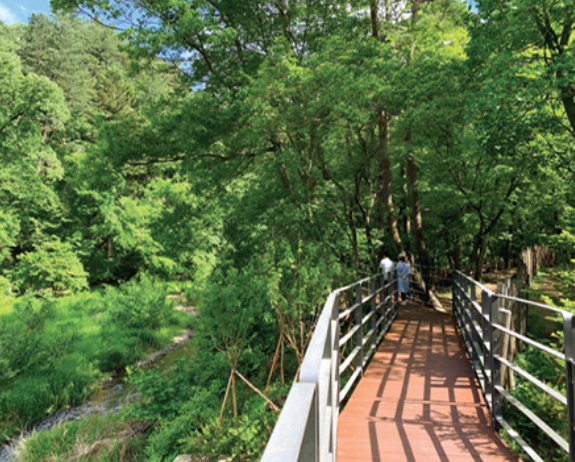 광릉숲길 주요 코스