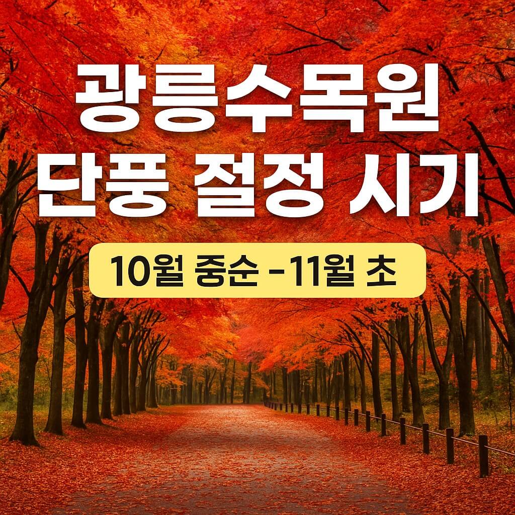 놓치면 손해 광릉수목원 단풍 절정 시기 공개