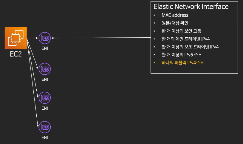 탄력적IP-Elastic-IP