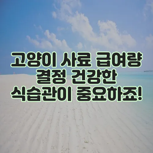 고양이 사료 급여량 결정 건강한 식습관이 중요하죠!
