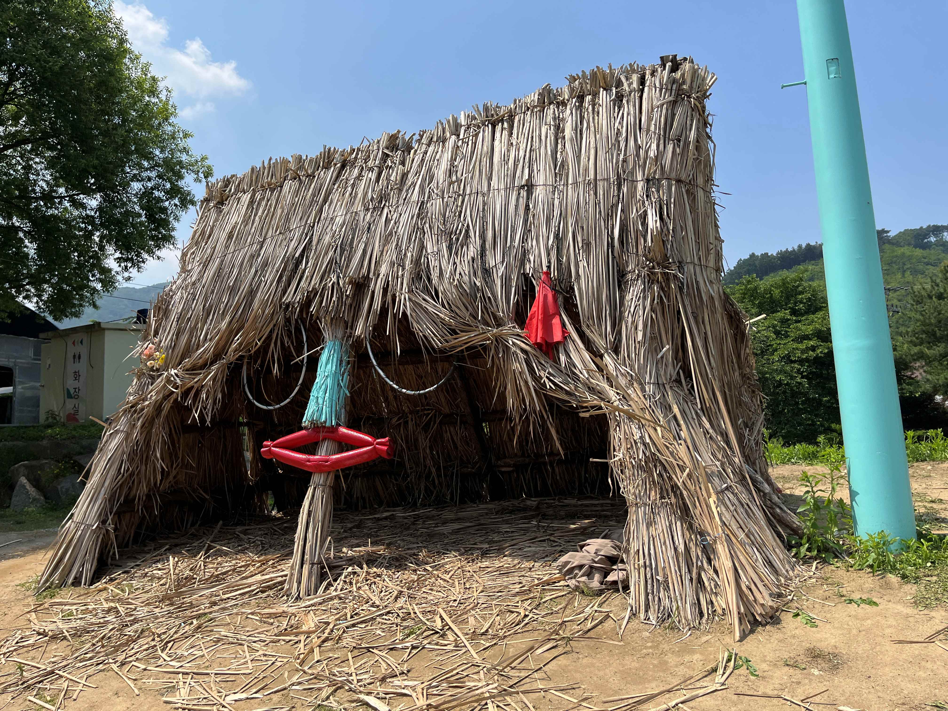 용수골 꽃양귀비 축제