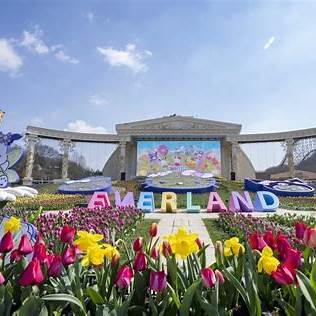 에버랜드 튤립 축제 이미지