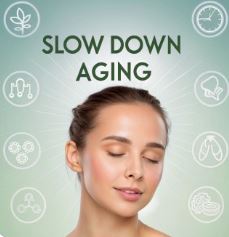 저속노화에 관한 이미지