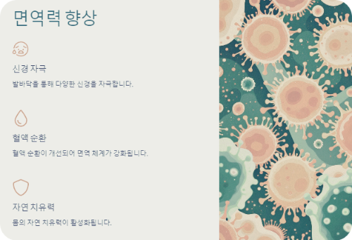 면역력 향상