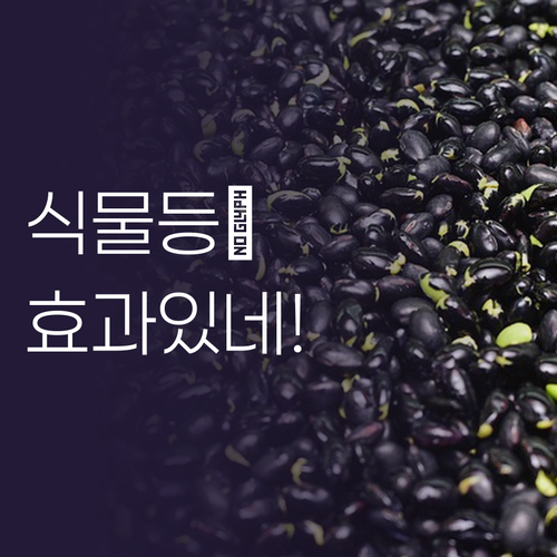 햇빛 부족한 집에서도 OK LED 식..