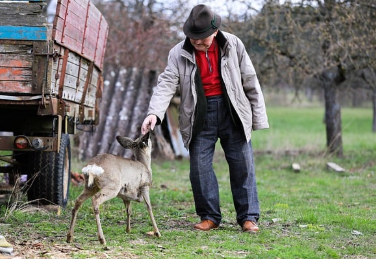 기초연금과 노령연금 차이