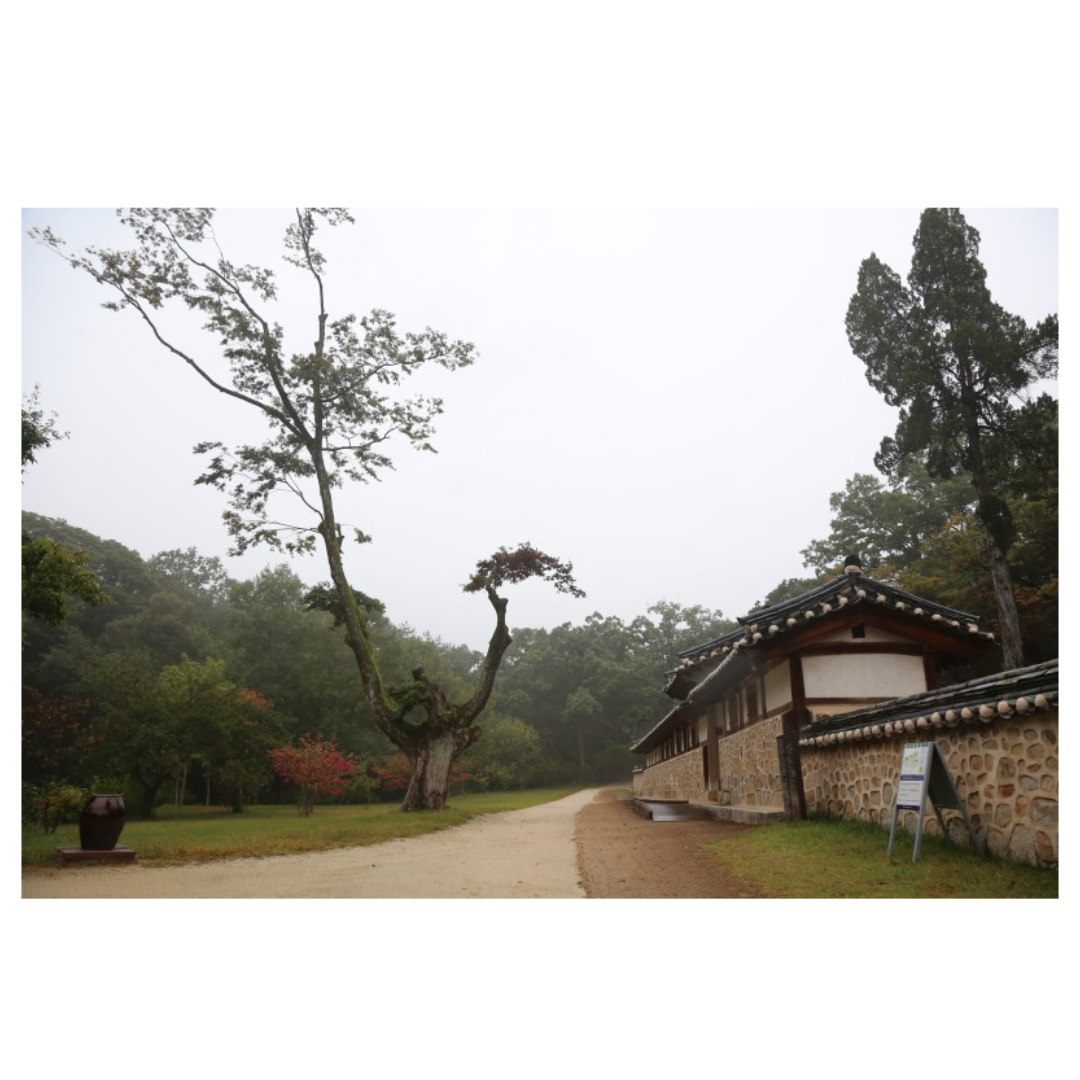 여주와 관련된 사진입니다.