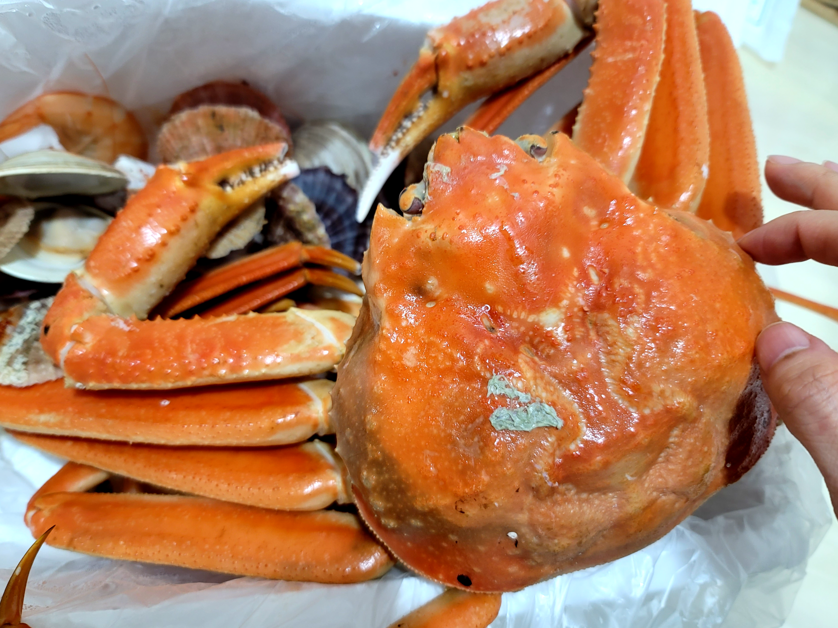 대게 시세, 대게 1키로 가격, 대게 싸게 먹는법