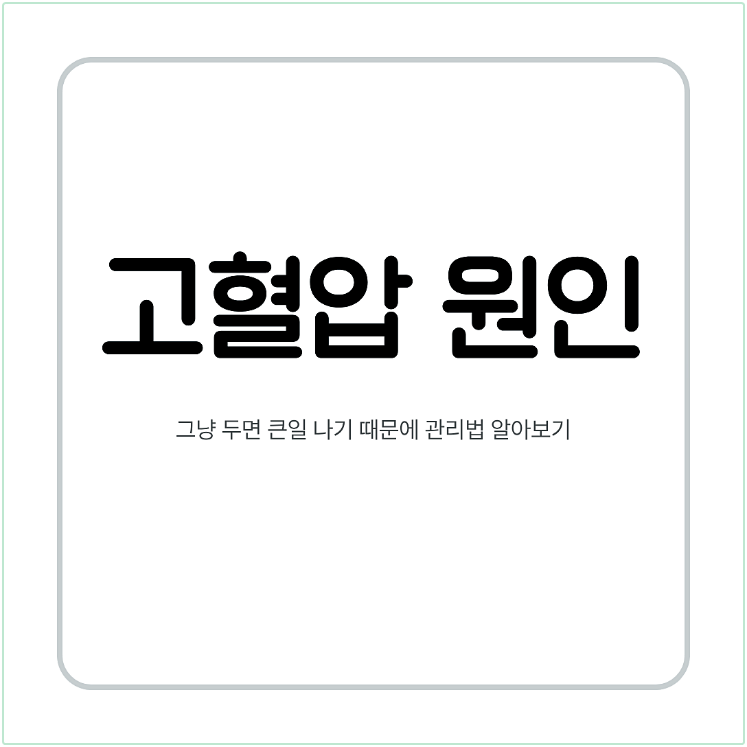 고혈압 원인