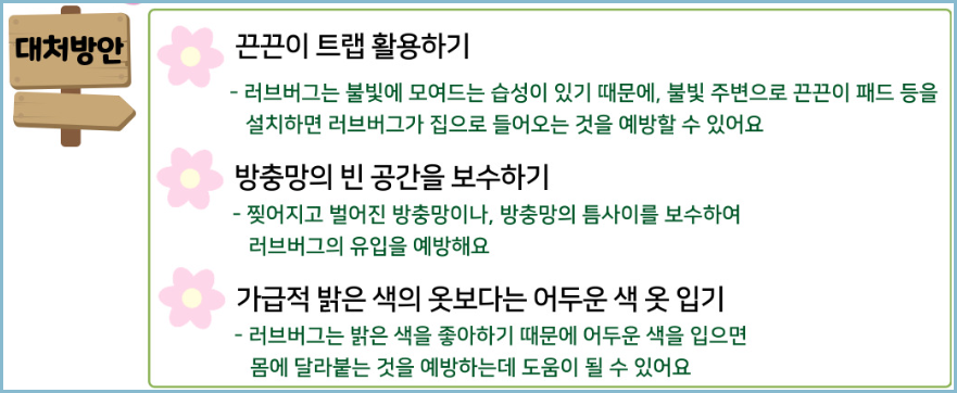 러브벌레-대처방안