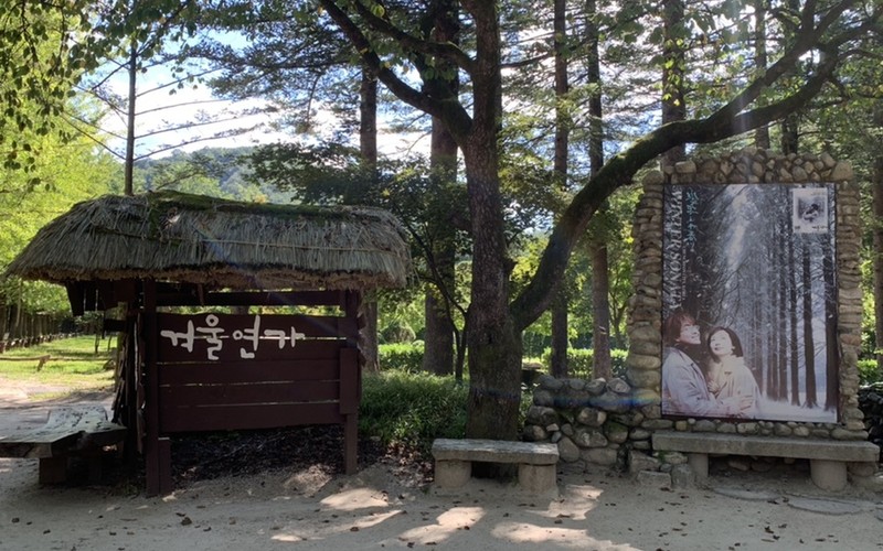 가평 춘천 여행 @ 남이섬 완벽 가이드: 입장료, 주차 할인 비교 및 필