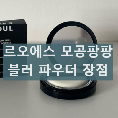 르오에스 모공팡팡 파우더 필터 효과 내돈내산 사용후기글로 이동