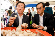 2025 단양 마늘축제 &amp; 단양마늘 활용