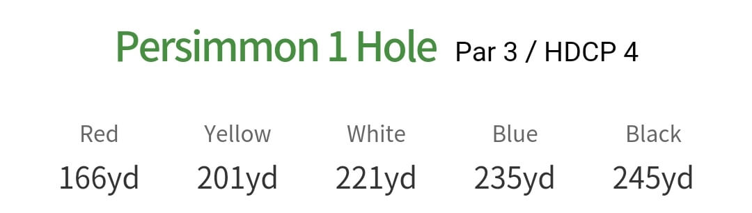 솔모로 컨트리클럽 퍼시몬코스 1