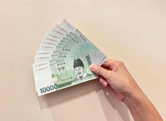 민생지원금 25만원 사용처 (4)