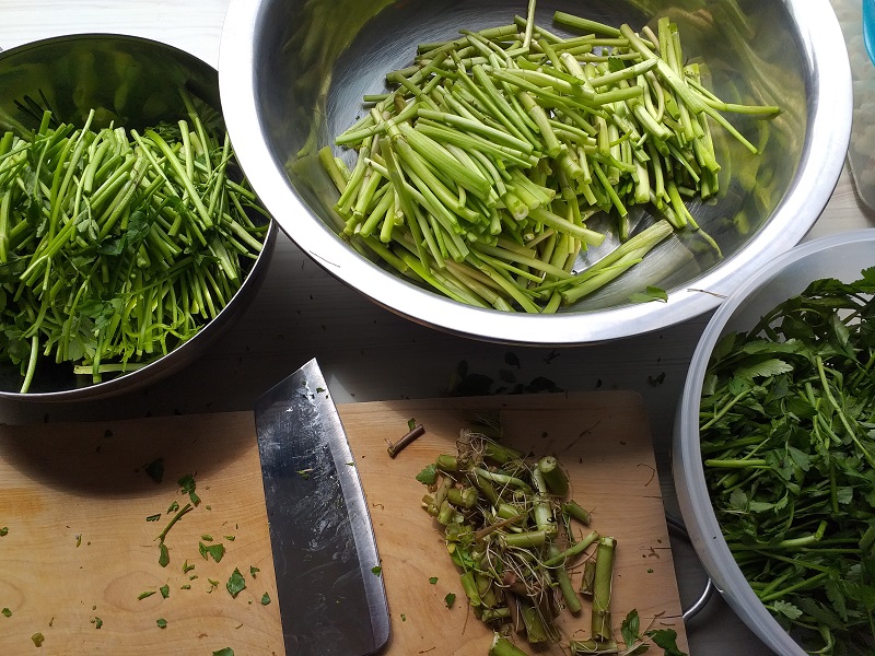 미나리김치 담는 법