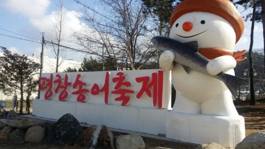 평창 송어축제 사진