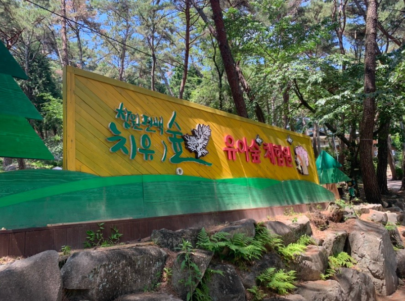 창원편백치유의숲5