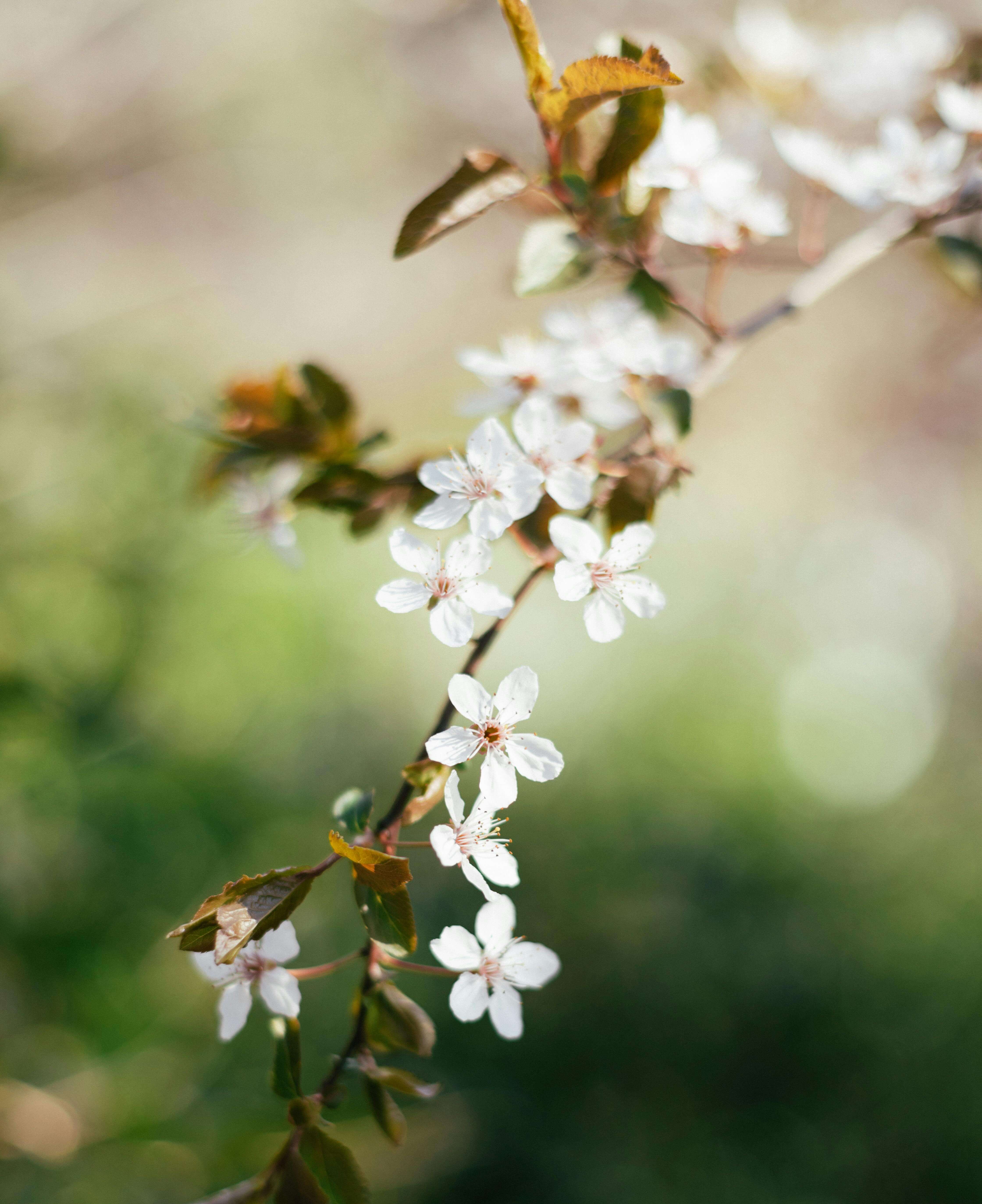 조용필콘서트 2025 다시보기 - KBS ‘이 순간을 영원히’ 감동 실황 정리