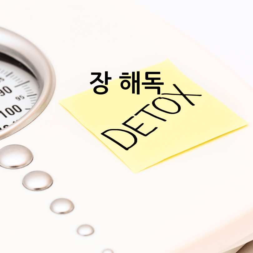 CCA주스 효능과 만드는 법