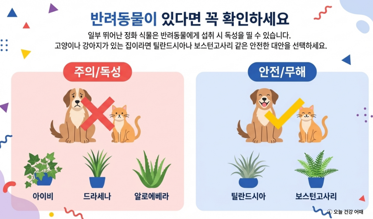 반려동물 위험 식물