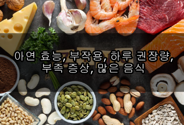 아연 효능, 부작용, 하루 권장량, 부족 증상, 많은 음식