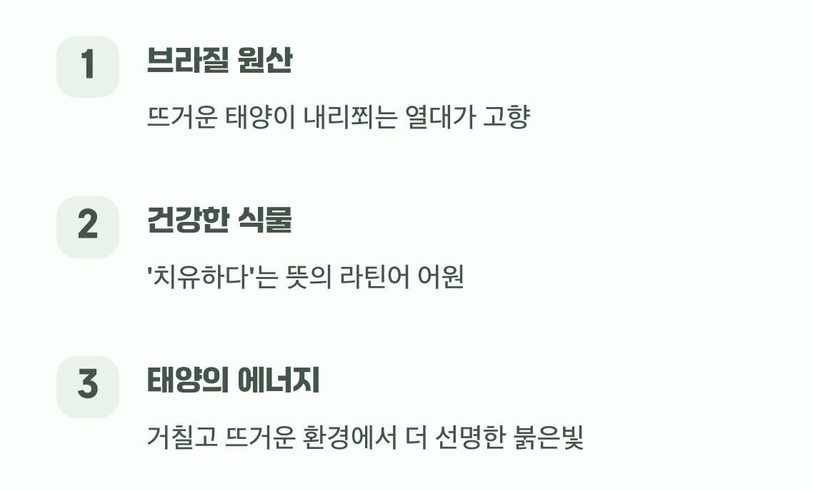 불꽃을 닮은 여름의 여왕