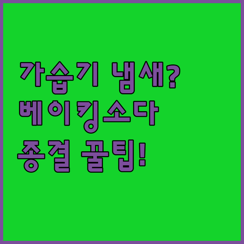 기화식 가습기 쿰쿰한 냄새 해결하는 ..