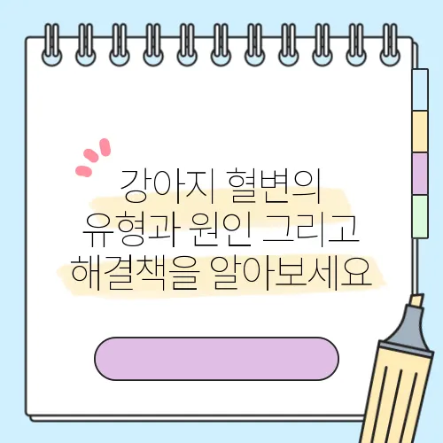 강아지 혈변의 유형과 원인 그리고 해결책을 알아보세요