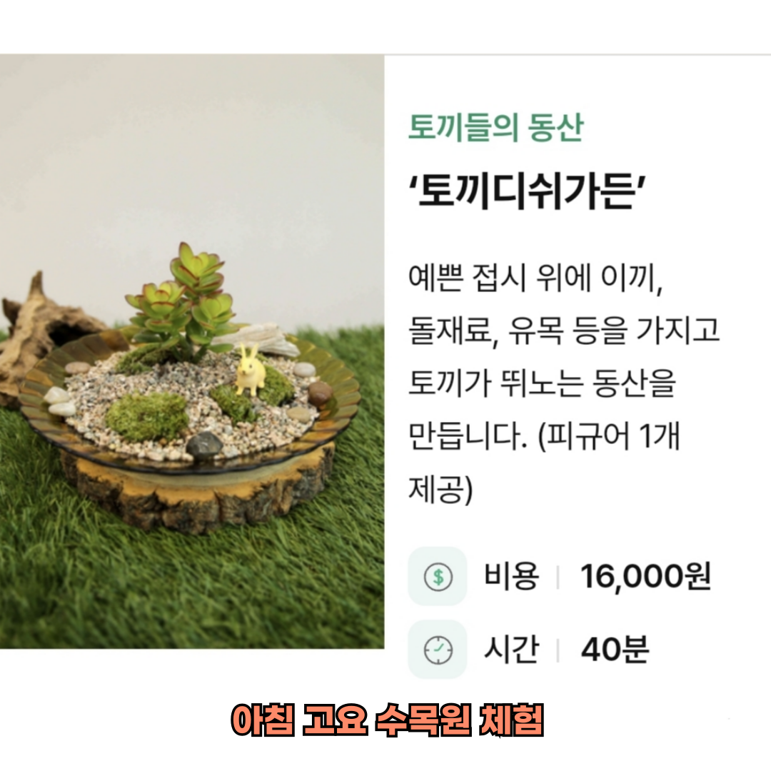 아침고요수목원 체험