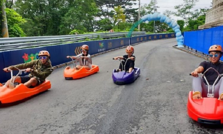 횡성 루지체험장