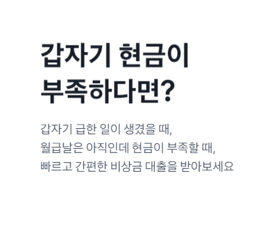 소액대출 300만원