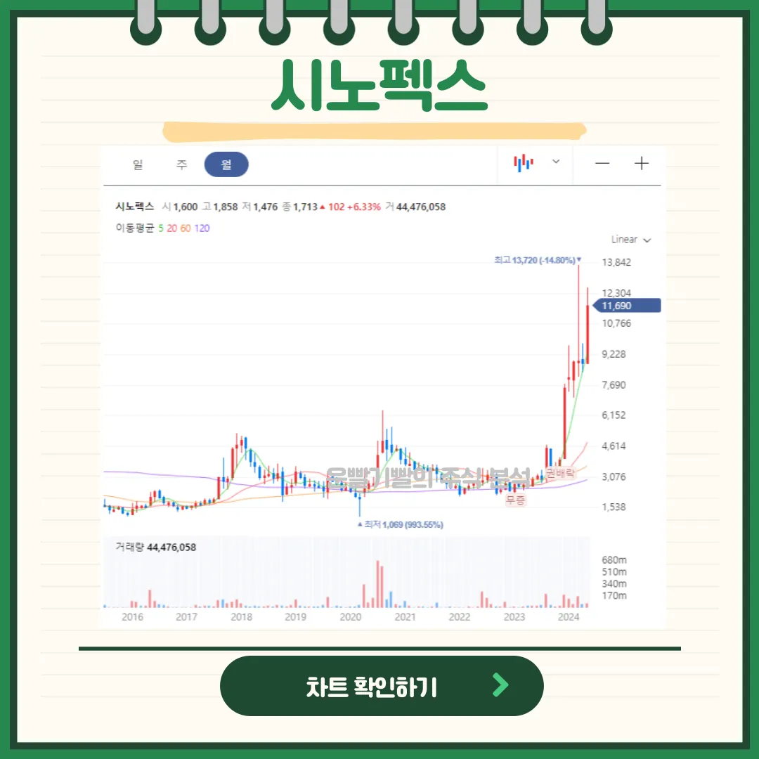 시노펙스 일봉/월봉차트