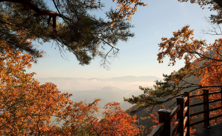 삼악산 호수케이블카