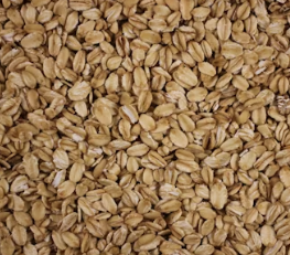 비만에 좋은 음식 영양제 식단