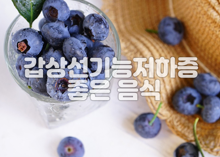 블루베리 이미지