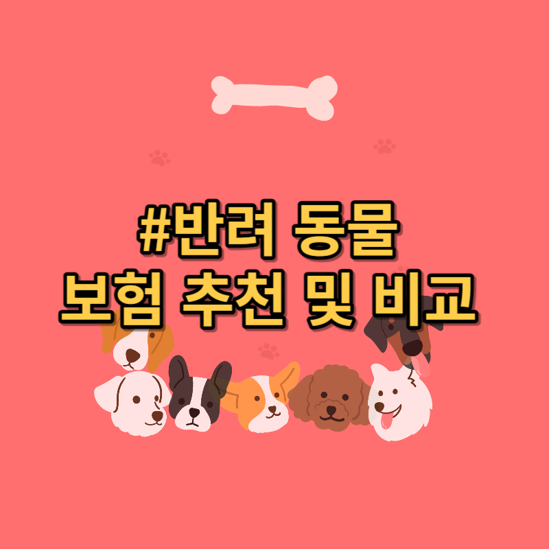 펫보험 추천 및 비교