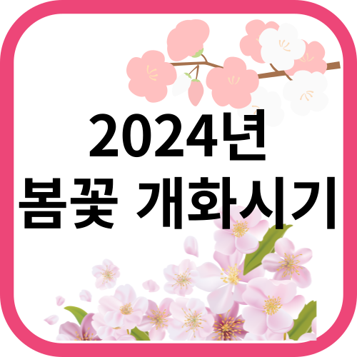 벚꽃