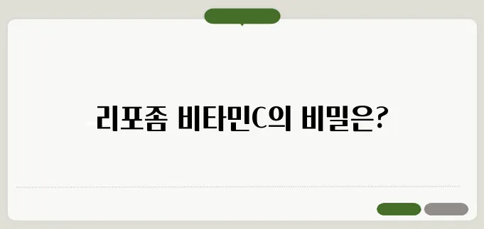 리포좀 비타민C 효과와 흡수율 높은 제품 추천