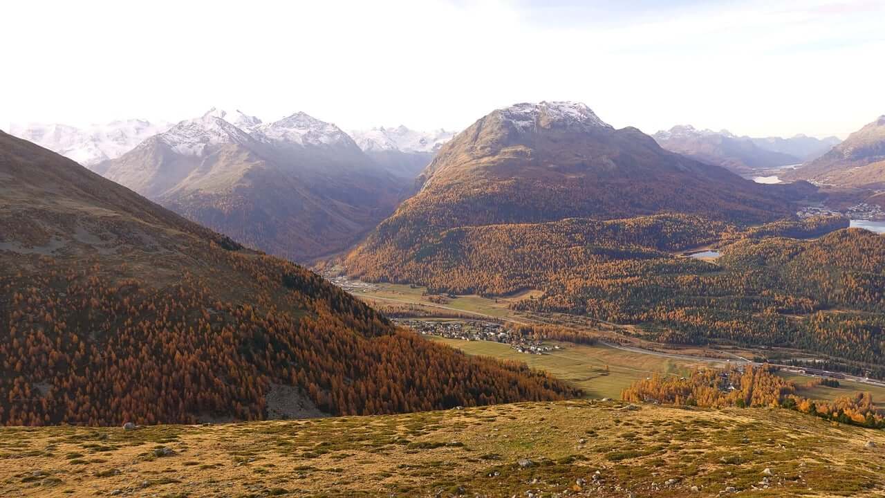 조상땅찾기 행정소개