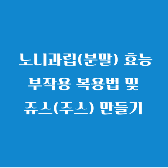 노니과립(분말) 효능 부작용 복용법 및 쥬스(주스) 만들기