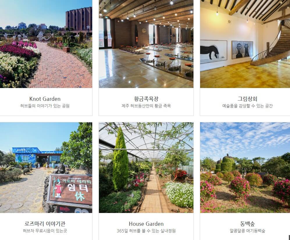 제주 허브동산에는 허브공원이 기본이지만 공원안에는 힐링하우스 펜션도 같이 운영하고 있습니다.