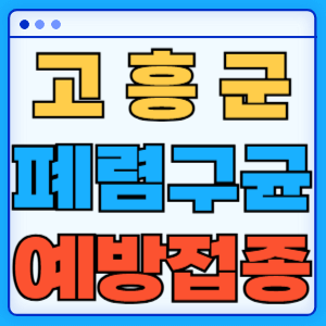 전라남도 고흥군 폐렴구균 백신 무료 예방접종 비용지원 가격 신청방법 대상자 간격 13가 15가 20가 23가