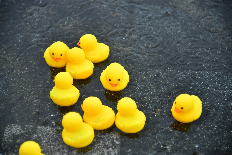 김포아라마린페스티벌