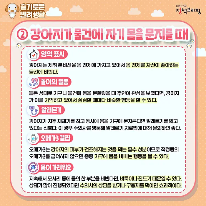 반려견 강아지의 행동 강박장애 어떤 행동이며 어떤 의미일까