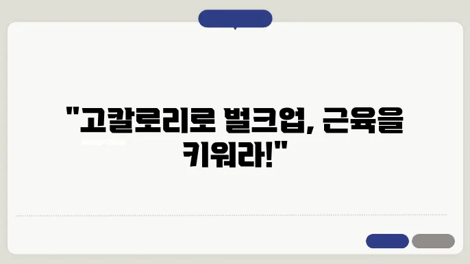 벌크업 성공 비법 고칼로리 식단으로 근육량 극대화하기